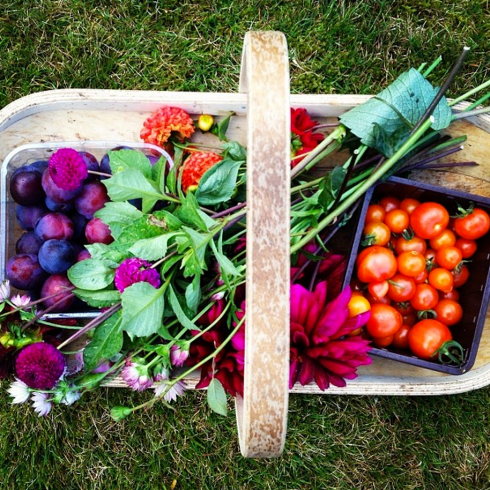 A colourful harvest of good stuff.